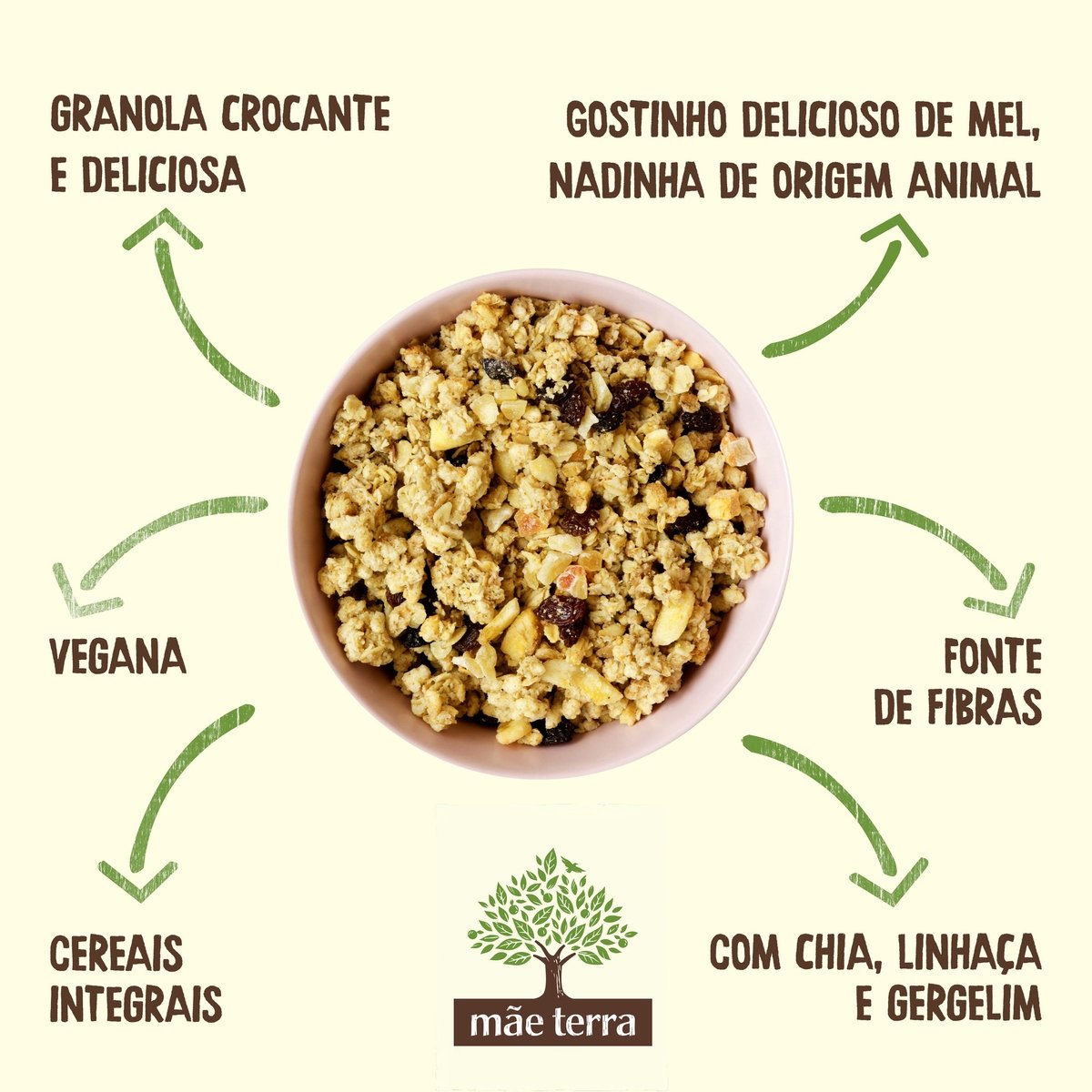 Granola Frutas Mel Mãe Terra Pacote 250g Pão de Açúcar