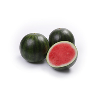 Melancia Mini Unidade