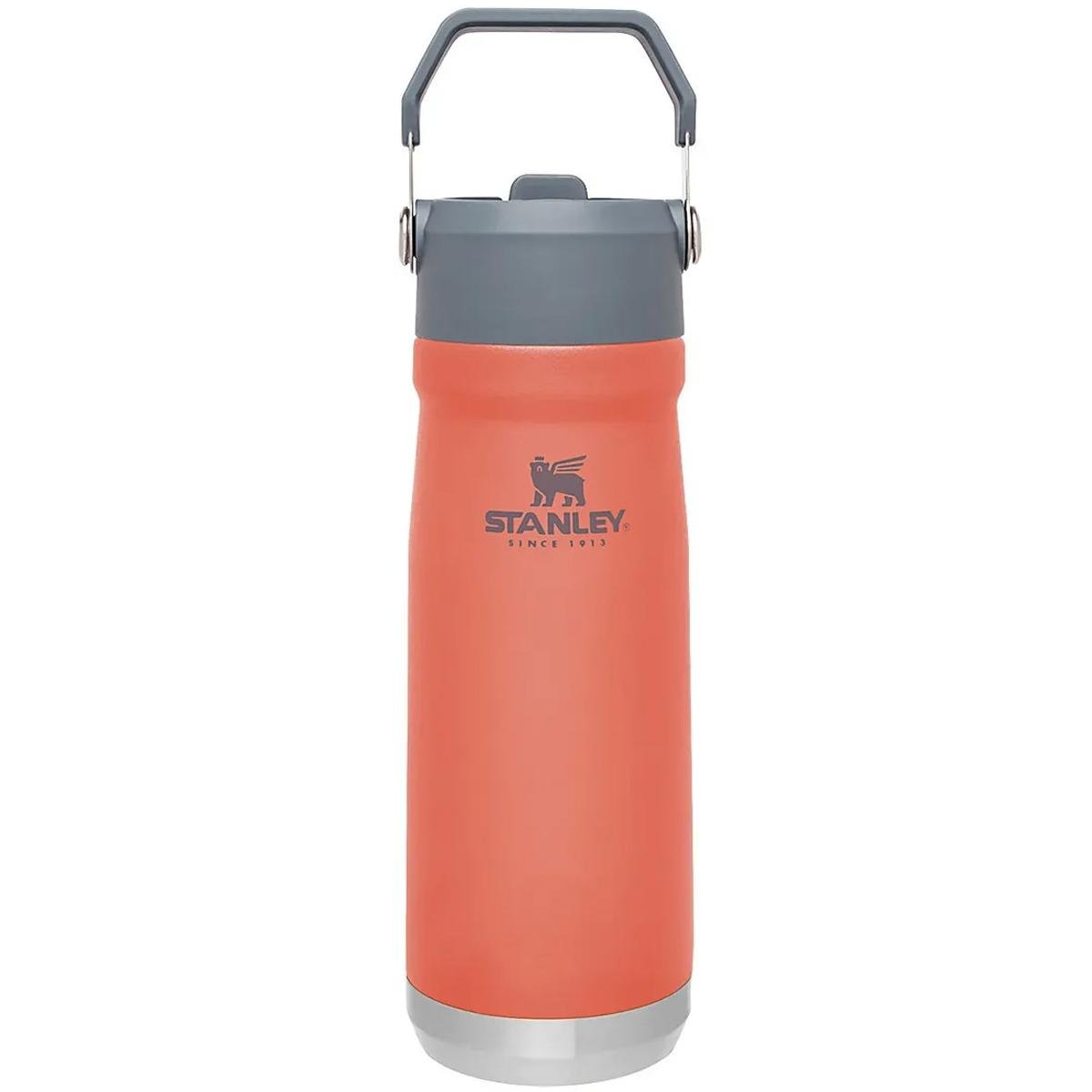 Garrafa Térmica Stanley 651ml Squeeze Aço Inox com Tampa Alça e Bico ...