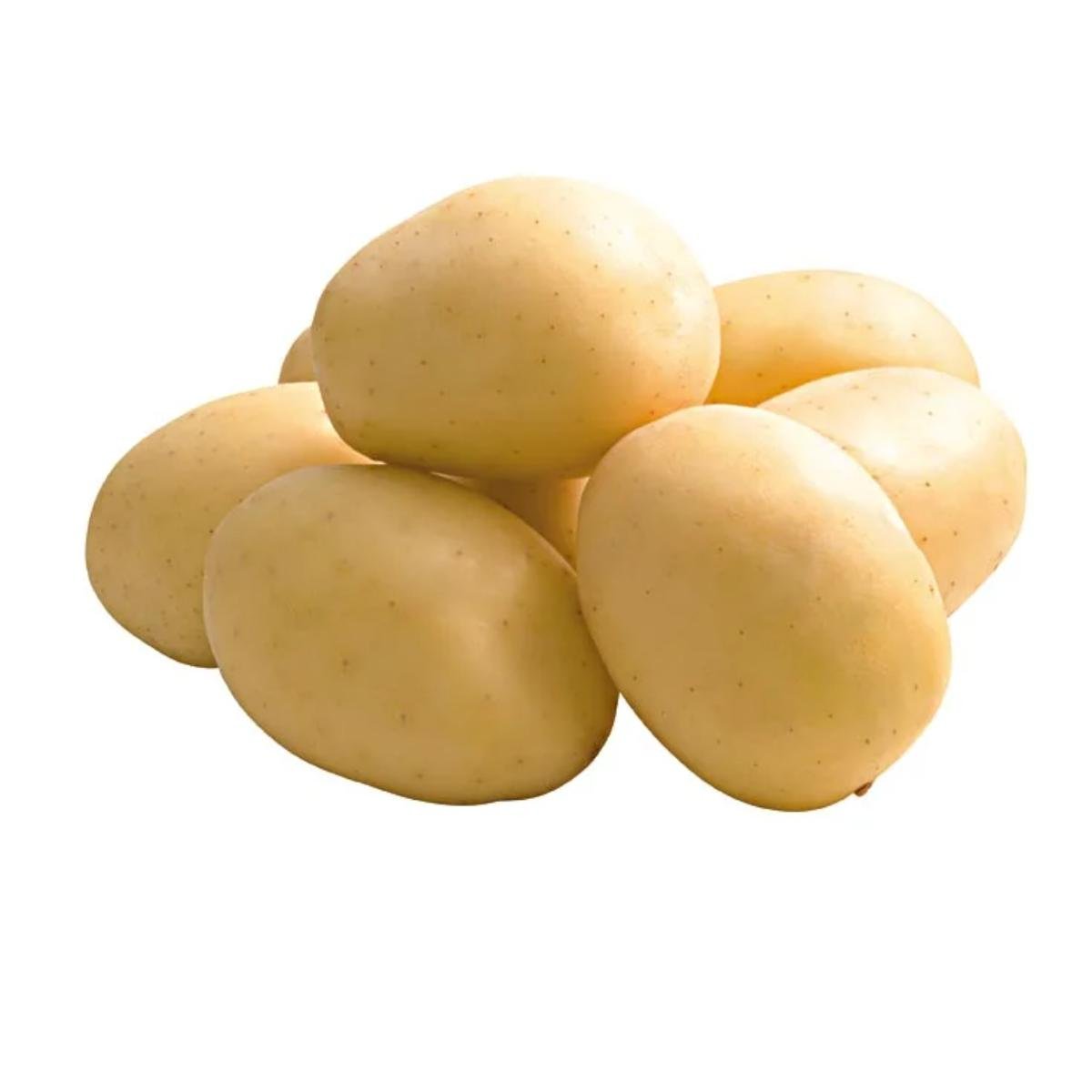 Batata 1,2KG (Aprox. 3 Unid)