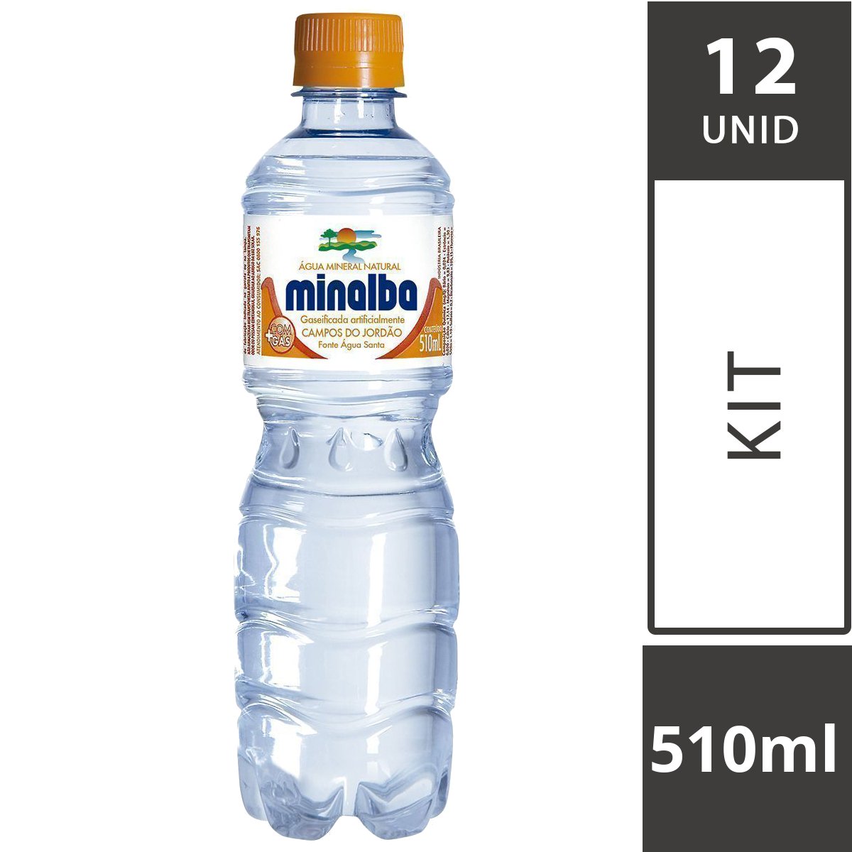 Água Mineral Natural sem Gás Pureza Vital Garrafa 510 ml, clube agua  mineral 