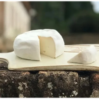 Queijo Padrão Nuvem Atalaia Caminho da Fazenda 300g