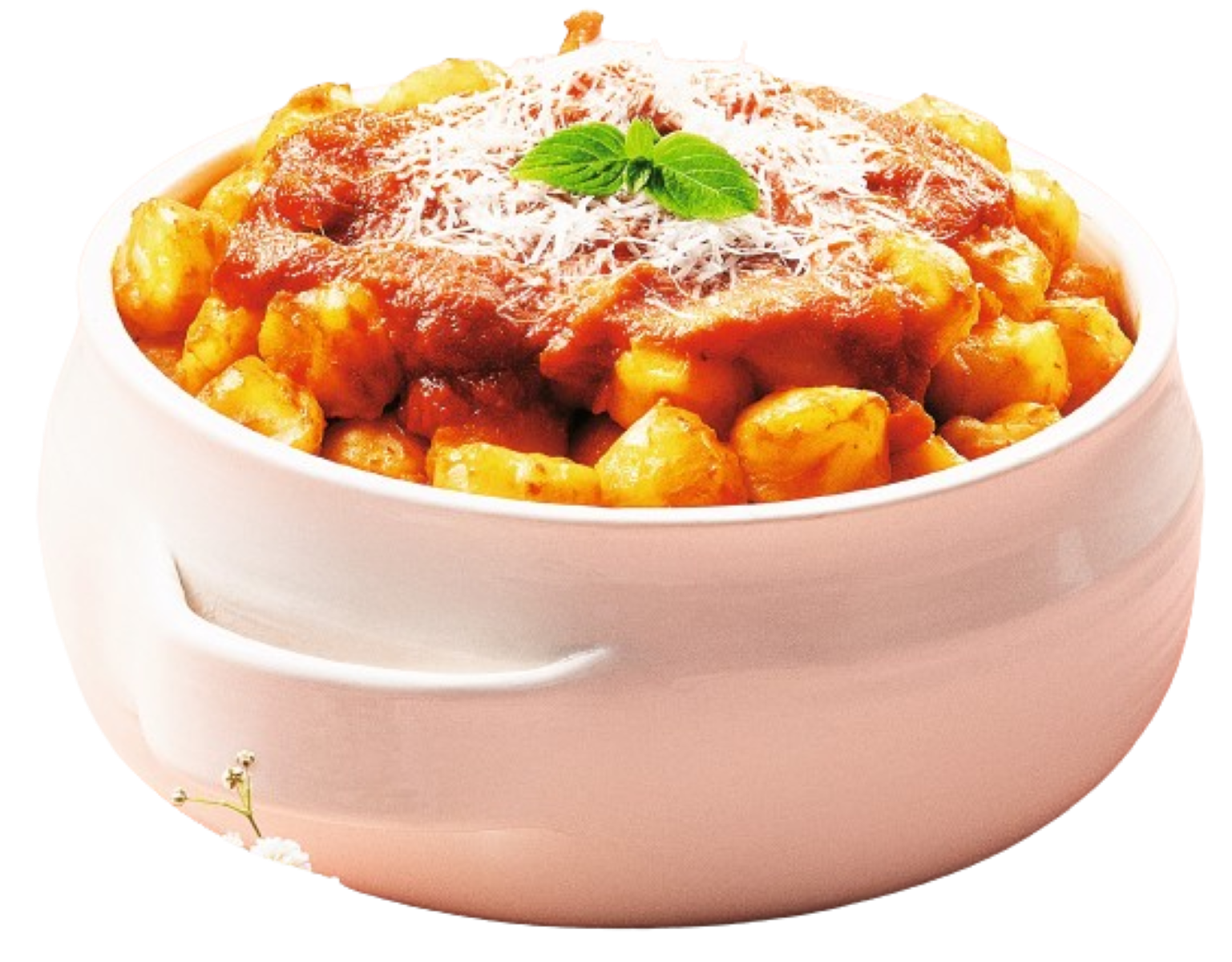 Nhoque ao Sugo Especial 150g