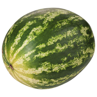 Melancia Granel 9kg (1 Unid)